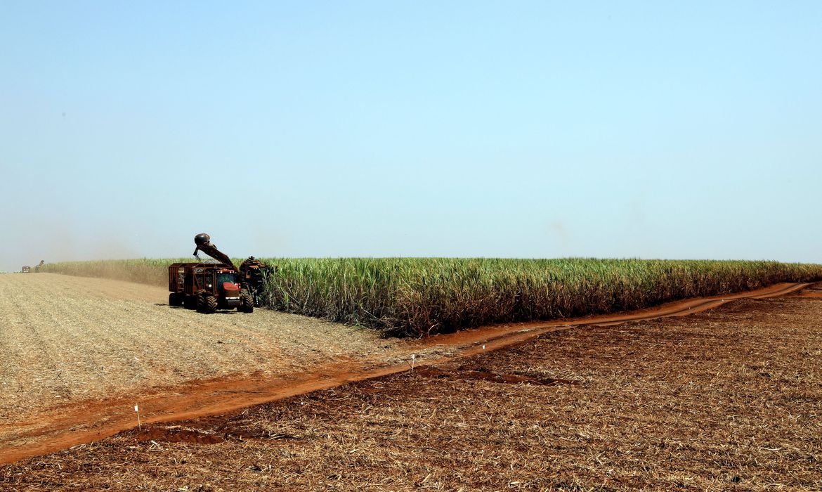 No momento, você está visualizando Pandemia: produtores rurais se preparam para diminuir riscos