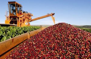 Leia mais sobre o artigo Exportações do agro mineiro batem novo recorde