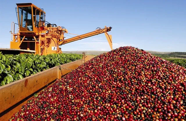 No momento, você está visualizando Exportações do agro mineiro batem novo recorde