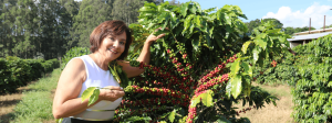 Leia mais sobre o artigo Com apoio do Estado, universidade desenvolve técnica para cultivo de cafés premiados